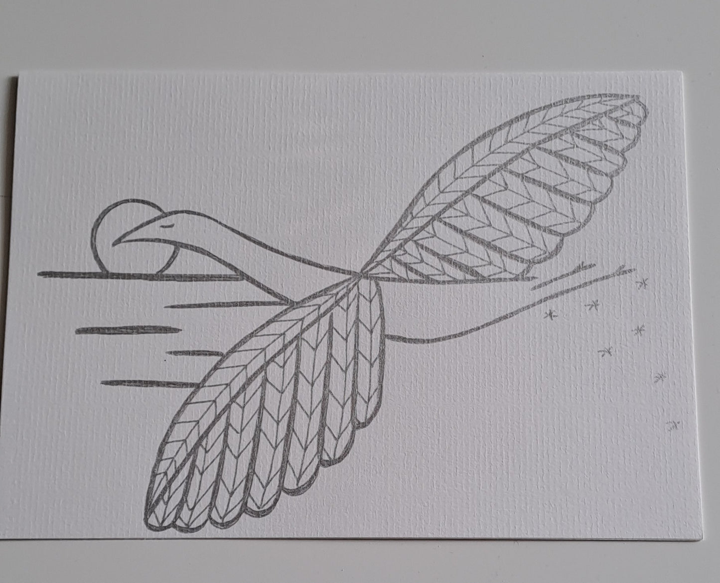 Carte cygne/signe