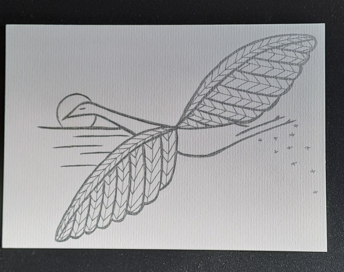 Carte cygne/signe